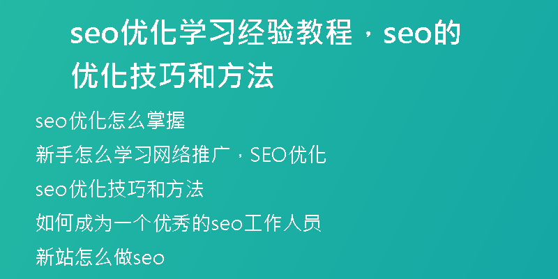 seo优化学习经验教程，seo的优化技巧和方法