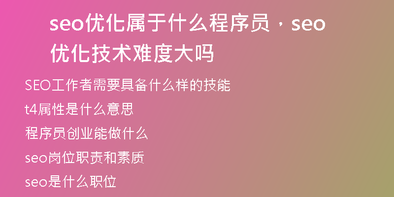 seo优化属于什么程序员，seo 优化技术难度大吗