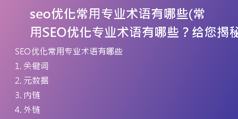 seo优化常用专业术语有哪些(常用SEO优化专业术语有哪些？给您揭秘！)