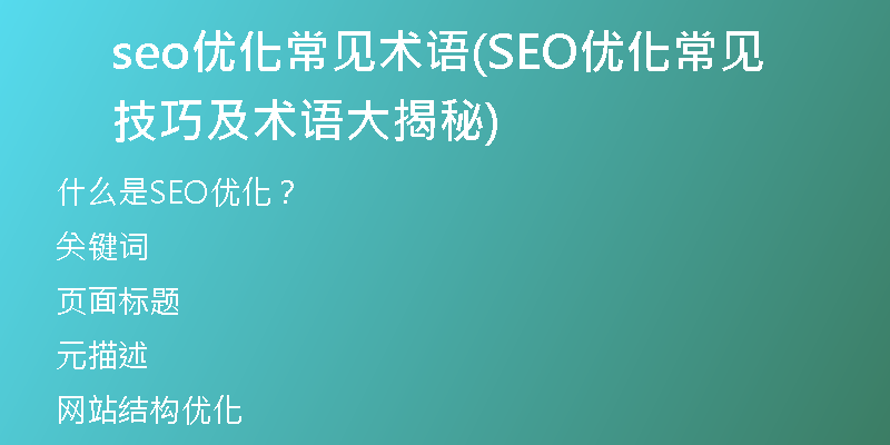 seo优化常见术语(SEO优化常见技巧及术语大揭秘)