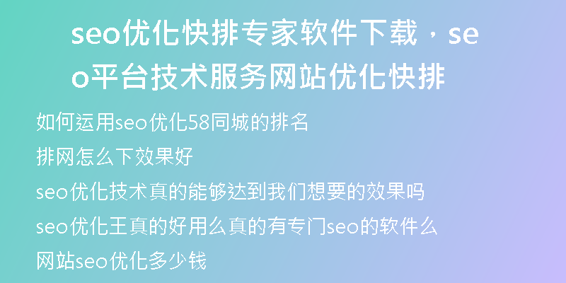 seo优化快排专家软件下载，seo平台技术服务网站优化快排