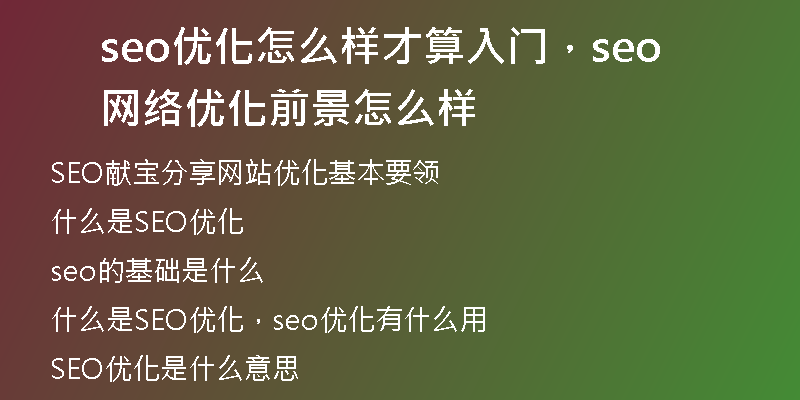 seo优化怎么样才算入门，seo网络优化前景怎么样