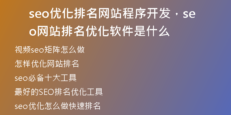 seo优化排名网站程序开发，seo网站排名优化软件是什么