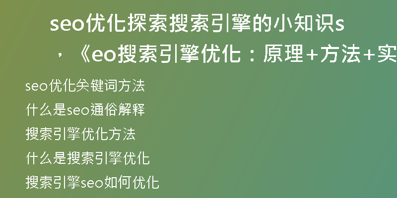 seo优化探索搜索引擎的小知识，《seo搜索引擎优化：原理+方法+实战》