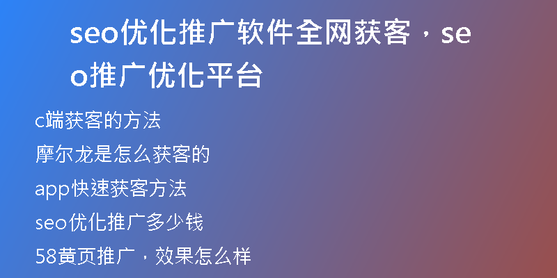seo优化推广软件全网获客，seo推广优化平台