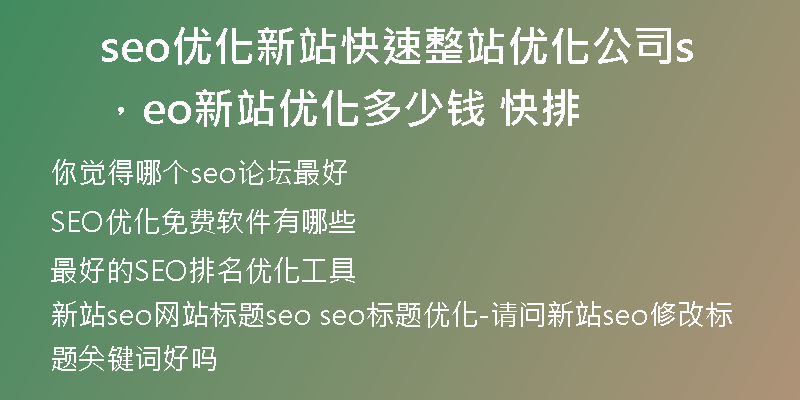 seo优化新站快速整站优化公司，seo新站优化多少钱 快排