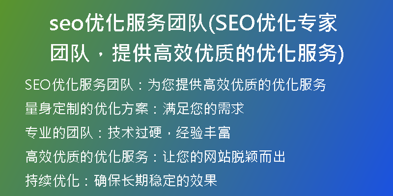 seo优化服务团队(SEO优化专家团队，提供高效优质的优化服务)