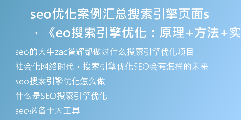 seo优化案例汇总搜索引擎页面，《seo搜索引擎优化：原理+方法+实战》