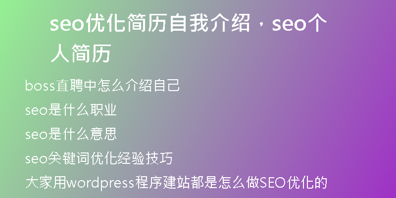 seo优化简历自我介绍，seo个人简历
