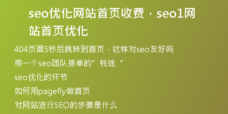 seo优化网站首页收费，seo1网站首页优化