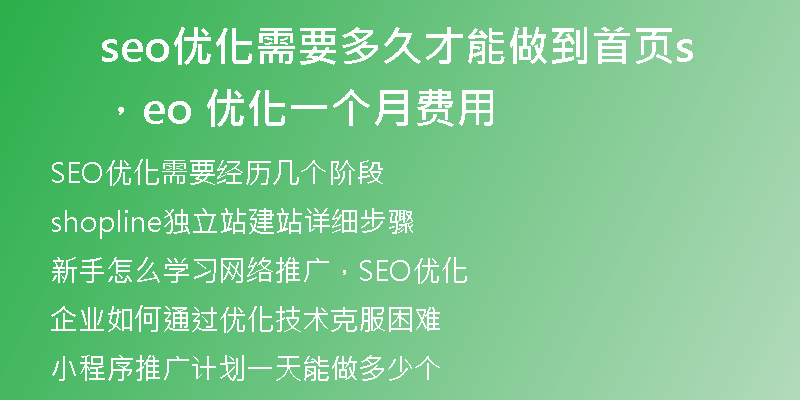 seo优化需要多久才能做到首页，seo 优化一个月费用
