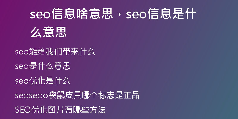 seo信息啥意思，seo信息是什么意思