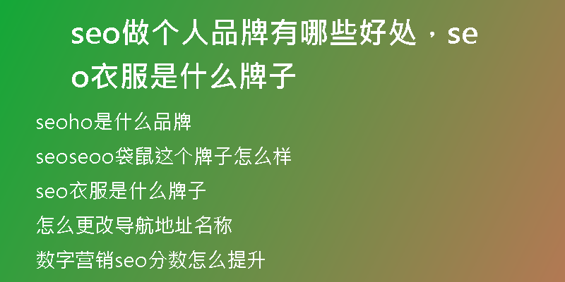 seo做个人品牌有哪些好处，seo衣服是什么牌子