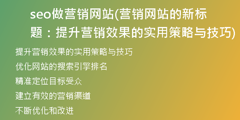 seo做营销网站(营销网站的新标题：提升营销效果的实用策略与技巧)