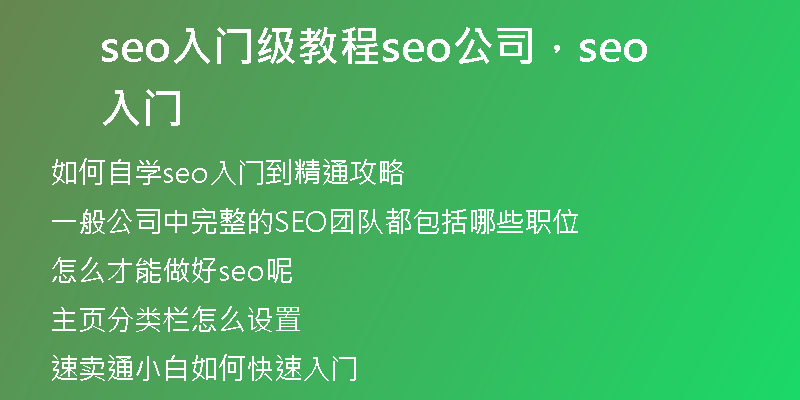 seo入门级教程seo公司，seo 入门