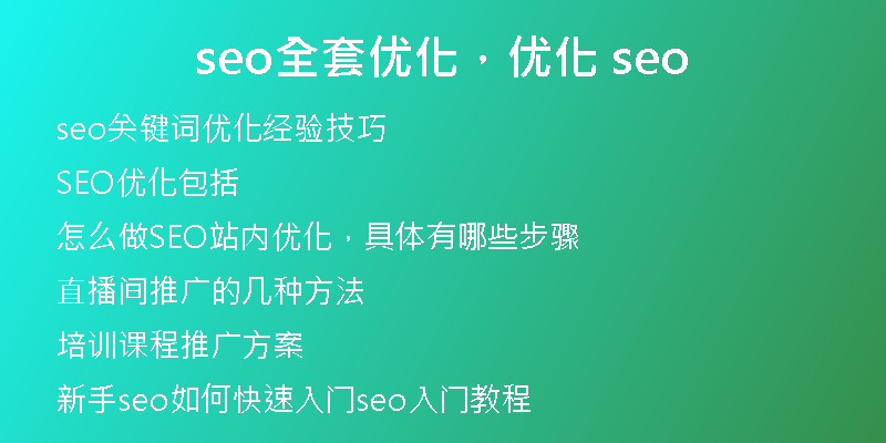 seo全套优化，优化 seo