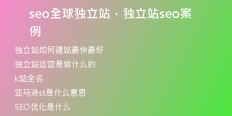 seo全球独立站，独立站seo案例