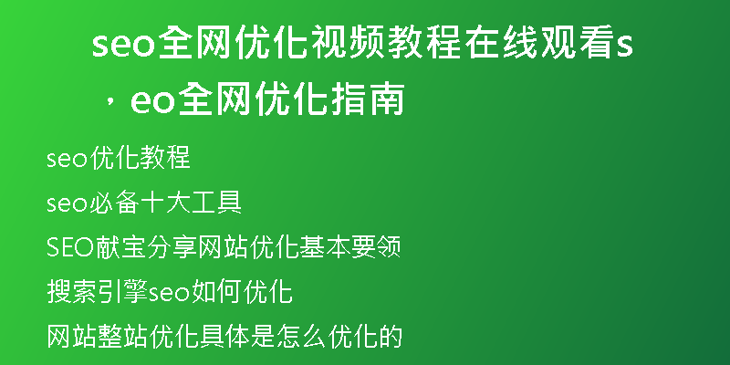 seo全网优化视频教程在线观看，seo全网优化指南