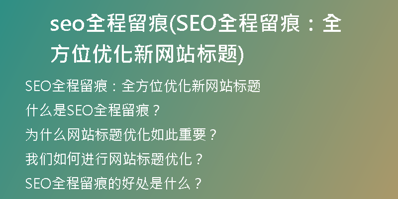 seo全程留痕(SEO全程留痕：全方位优化新网站标题)