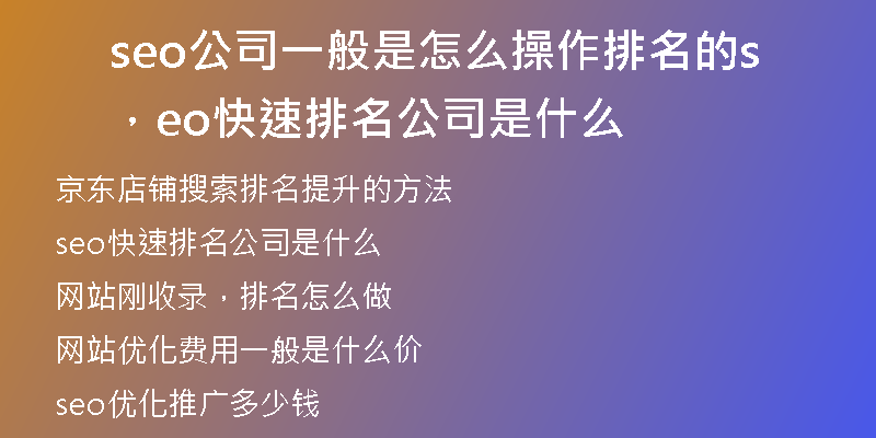 seo公司一般是怎么操作排名的，seo快速排名公司是什么