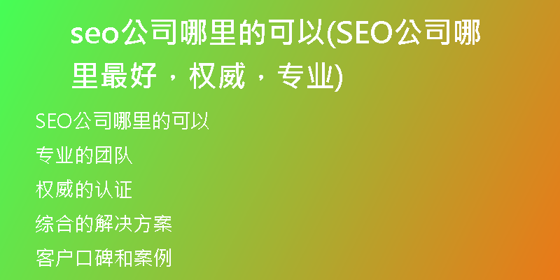 seo公司哪里的可以(SEO公司哪里最好，权威，专业)