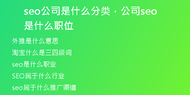 seo公司是什么分类，公司seo是什么职位