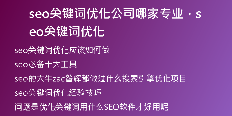 seo关键词优化公司哪家专业，seo关键词优化
