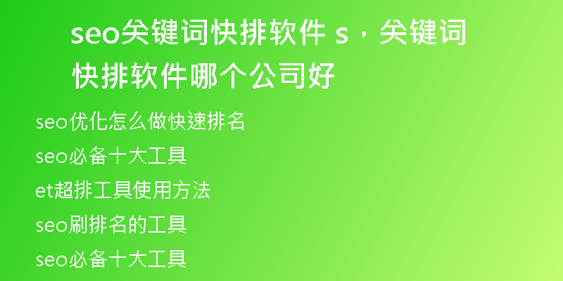 seo关键词快排软件 s，关键词快排软件哪个公司好