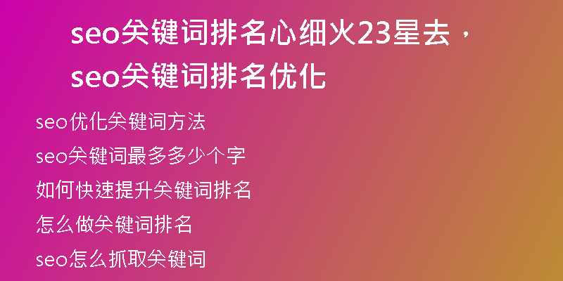 seo关键词排名心细火23星去，seo关键词排名优化