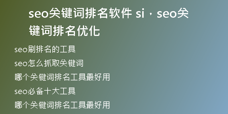 seo关键词排名软件 si，seo关键词排名优化