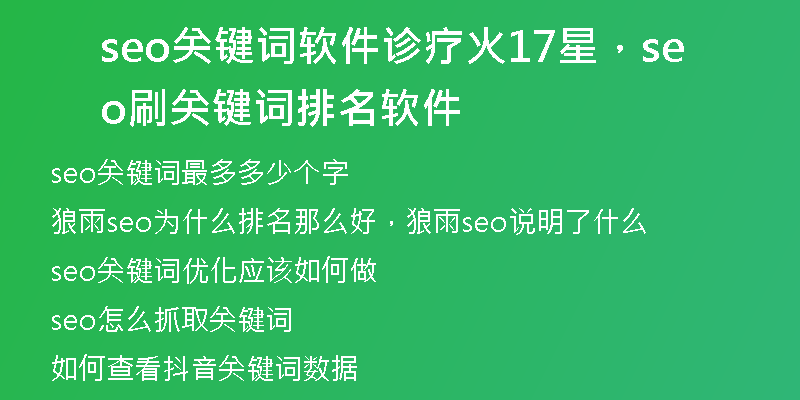 seo关键词软件诊疗火17星，seo刷关键词排名软件