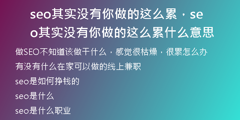 seo其实没有你做的这么累，seo其实没有你做的这么累什么意思