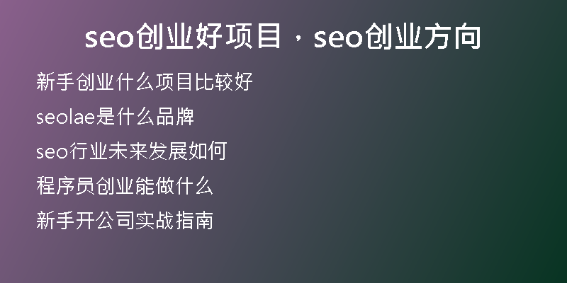 seo创业好项目，seo创业方向