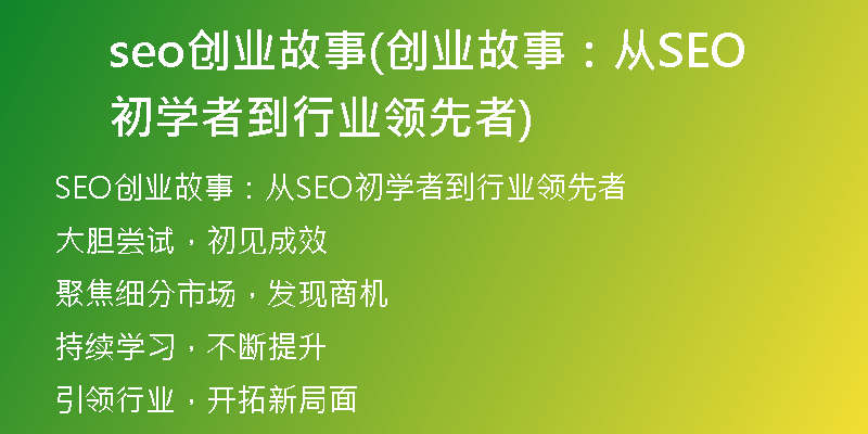 seo创业故事(创业故事：从SEO初学者到行业领先者)