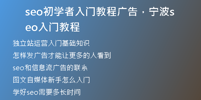 seo初学者入门教程广告，宁波seo入门教程