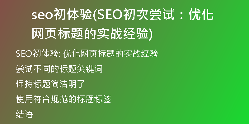 seo初体验(SEO初次尝试：优化网页标题的实战经验)