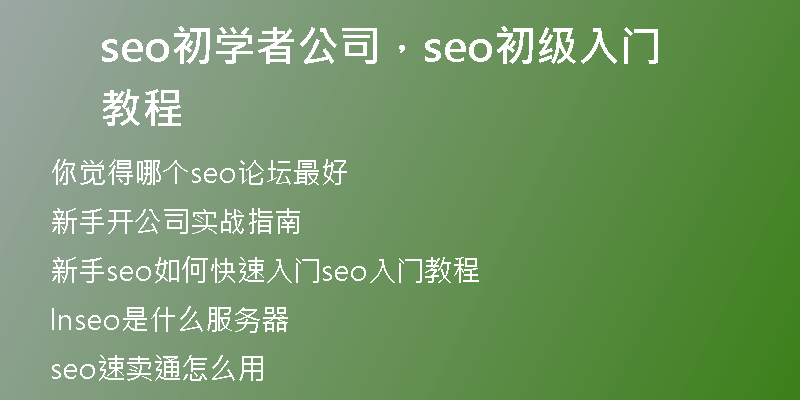 seo初学者公司，seo初级入门教程