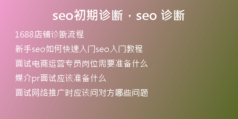 seo初期诊断，seo 诊断