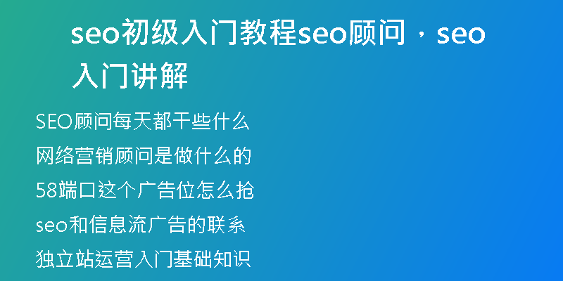 seo初级入门教程seo顾问，seo入门讲解