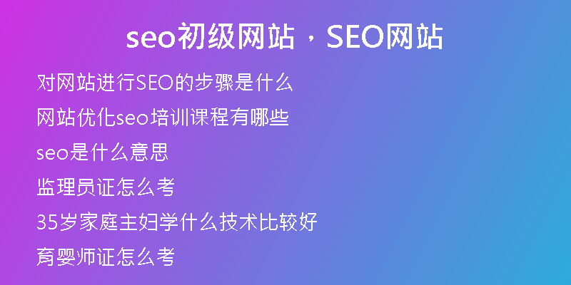 seo初级网站，SEO网站