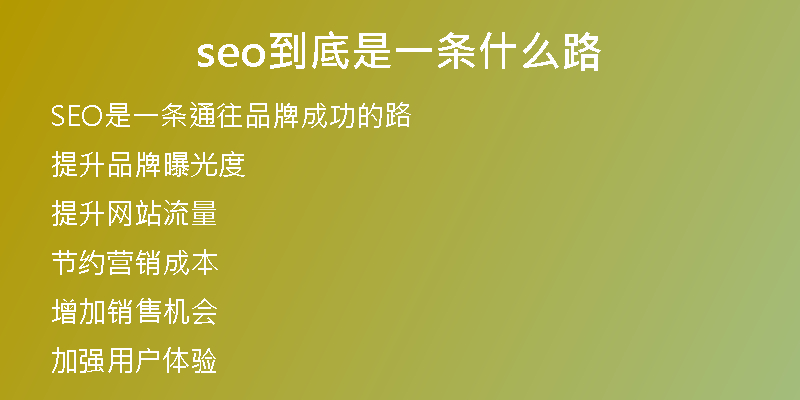 seo到底是一条什么路