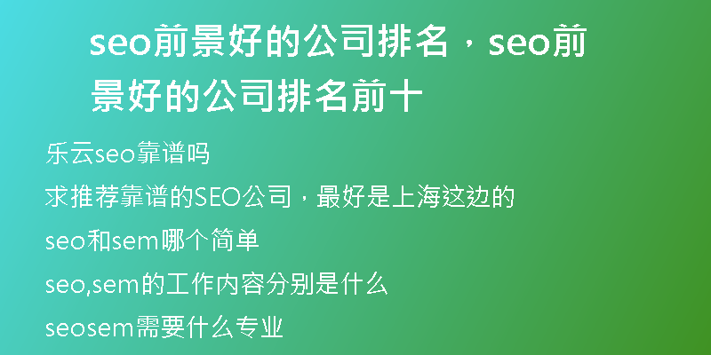 seo前景好的公司排名，seo前景好的公司排名前十