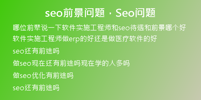 seo前景问题，Seo问题