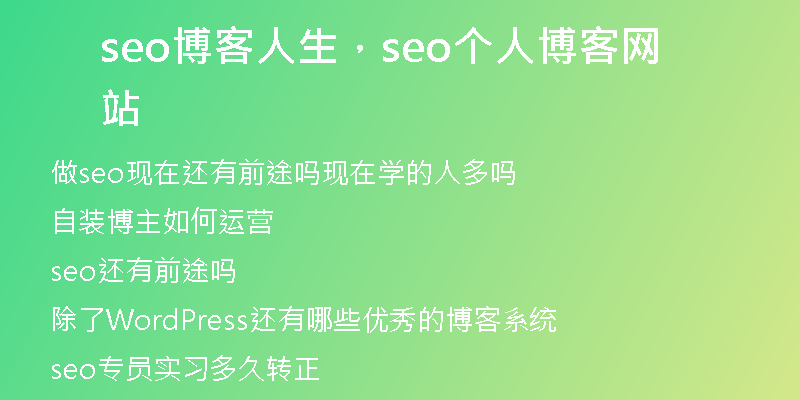 seo博客人生，seo个人博客网站