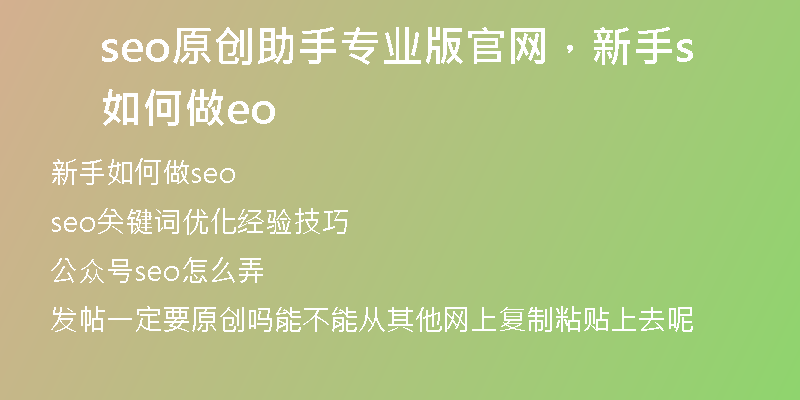 seo原创助手专业版官网，新手如何做seo