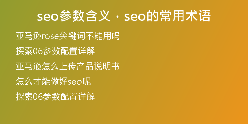 seo参数含义，seo的常用术语