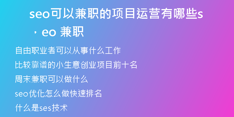 seo可以兼职的项目运营有哪些，seo 兼职