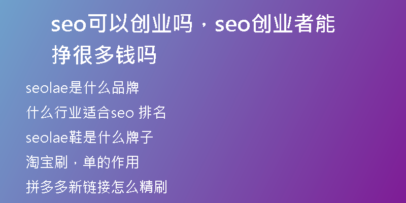 seo可以创业吗，seo创业者能挣很多钱吗