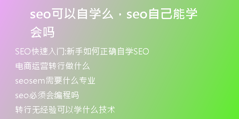 seo可以自学么，seo自己能学会吗