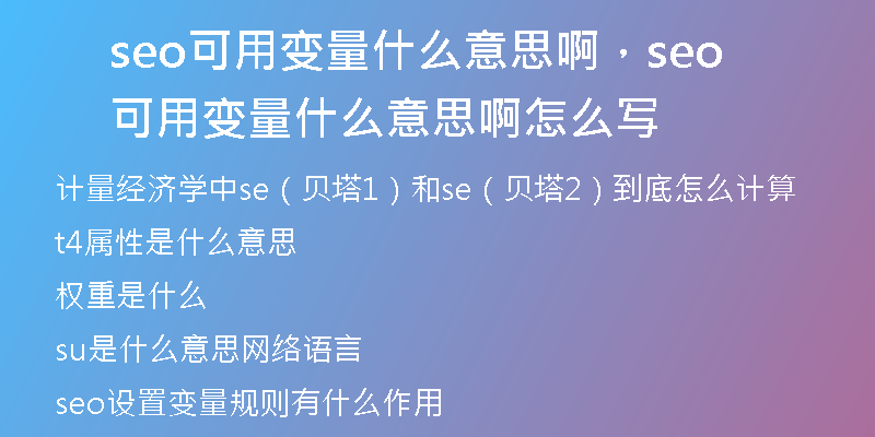 seo可用变量什么意思啊，seo可用变量什么意思啊怎么写